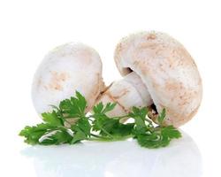 champignon mushroom and parsley photo