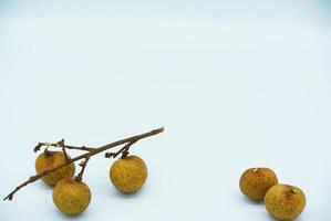 Fresh longan isolated on white background.longan thai fruit and space for copy space photo