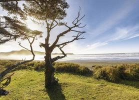 Pacific coastline. Travel destinations. Tofino. Canada. Pacific coastline containing beach, coast, and view of the pacific ocean. photo