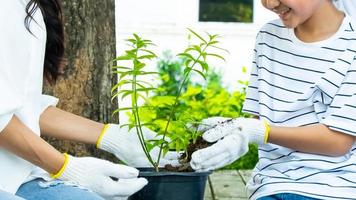 mother and son planting trees photo