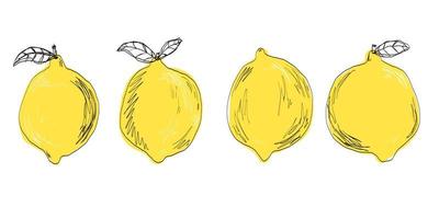 Collection of lemons illustration isolated background with citrus, vitamin c for kitchen.