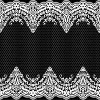 Abstract seamless lace pattern with flowers vector