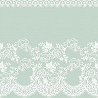 Abstract seamless lace pattern with flowers vector