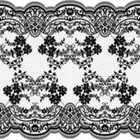 Abstract seamless lace pattern with flowers vector