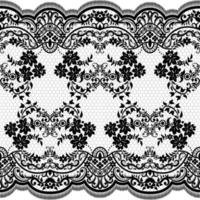 Abstract seamless lace pattern with flowers vector