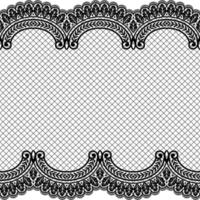 Abstract seamless lace pattern with flowers vector