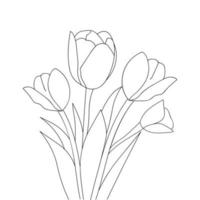 tulips flower contour drawing outline blossom petal illustration