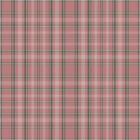Tartan plaid pattern with texture and nature color. vector