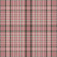 Tartan plaid pattern with texture and nature color. vector