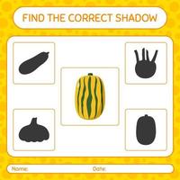 Find the correct shadows game with delicata squash. worksheet for preschool kids, kids activity sheet vector