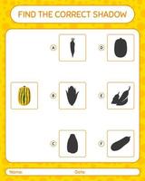 Find the correct shadows game with delicata squash. worksheet for preschool kids, kids activity sheet vector