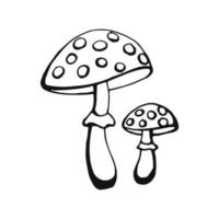 Hand drawn mushroom outline. Line art style isolated on white background. vector