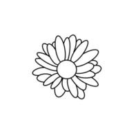 Daisy flower plant Hand drawn organic line Doodle vector