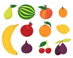 conjunto de frutas frescas vector