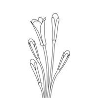 single line drawing blooming flowers coloring page for kids vector