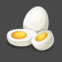 Vector egg whole and two half on gray background