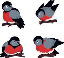 Set of birds in different poses. Bullfinches on tree branches. Vector flat illustration