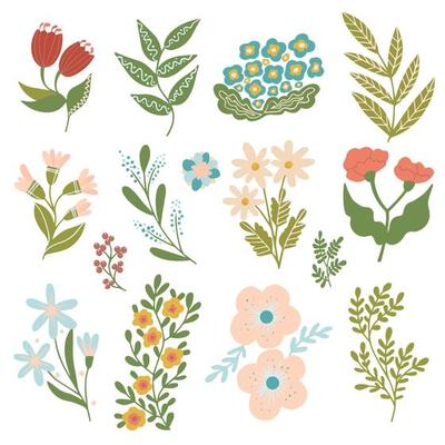 Botanical Set. Spring herbs and flowers. Hand drawn wildflowers
