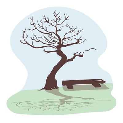 A dry old tree and a beautiful shade. Trunk and branches without leaves against the blue sky. Next to it is a wooden bench.