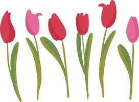 Spring flower set. Red tulips botanicals for design. Flowers the best gift for any holiday vector