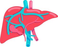 Liver semi flat color vector object