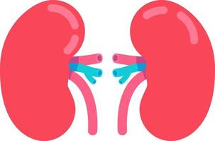 Kidneys semi flat color vector object