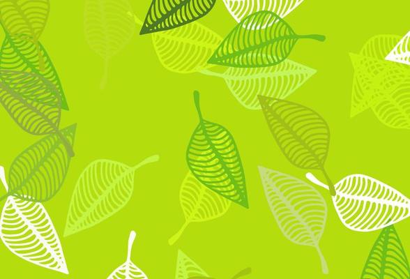 Light Green vector sketch background.