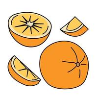 conjunto de icono plano de fruta naranja. Cítricos amarillos enteros y cortados. estilo de dibujos animados vector