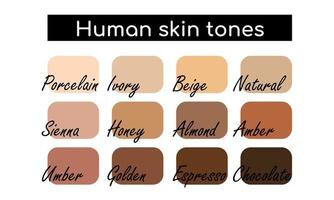 Human skin tones pallets. Informational poster. Vector illustration on white background