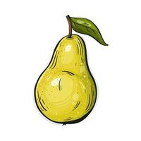 Pear hand drawn, green color. vector