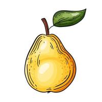 Pear yellow, hand drawn, vector illustration, vintage, on a white background.