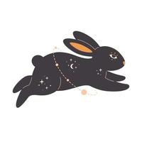 Rabbit with esoteric, mystic, astrology and magician elements. Year of the Rabbit vector