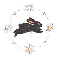 Rabbit with astrology, esoteric, mystic and magician elements. Year of the Rabbit vector