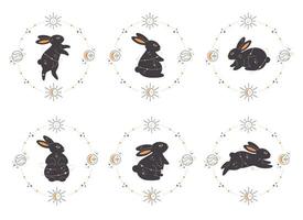 Set of rabbits with astrology, esoteric, mystic and magician elements. Year of the Rabbit vector