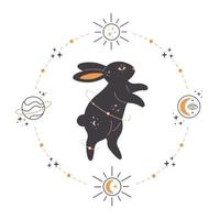 Rabbit with astrology, esoteric, mystic and magician elements. Year of the Rabbit vector