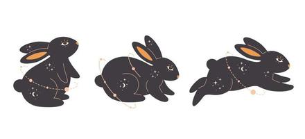 Set of of rabbits with esoteric, mystic, magician elements. Year of the Rabbit. vector