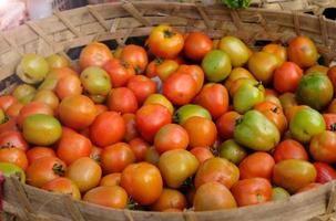 tomate fresco - grandes cantidades de tomate en la cesta. tomates frescos en el mercado foto