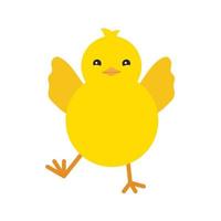 Cute yellow baby chicken fly, for Easter design. Little yellow cartoon chick. Vector illustration isolated on white background