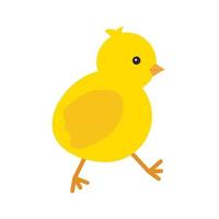 Cute yellow baby chicken for easter design. Little yellow cartoon chick. Vector illustration isolated on white background