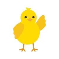 Cute yellow baby chicken wave hello for easter design. Little yellow cartoon chick. Vector illustration isolated on white background