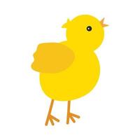 Cute yellow baby chicken tweet, for Easter design. Little yellow cartoon chick. Vector illustration isolated on white background