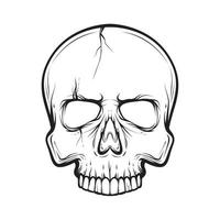 outline skull, black and white vector illustration