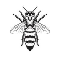 abeja de arte lineal vector