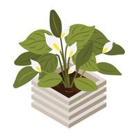 House decoration, an isometric icon of plant vector