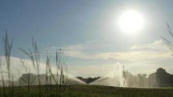 irrigatore automatico dell'acqua ad alta pressione sul campo da golf che innaffia l'erba, retroilluminato del flusso dall'irrigatore video