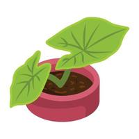 House decoration, an isometric icon of plant vector