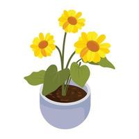 Have a look at this isometric icon of flower pot vector