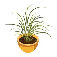 House decoration, an isometric icon of plant vector