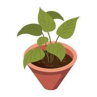 House decoration, an isometric icon of plant vector