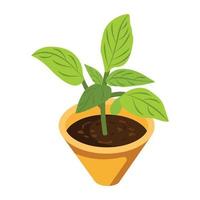 House decoration, an isometric icon of plant vector